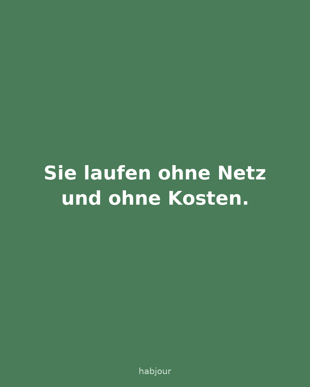 Karte 4 von 7: Sie laufen ohne Netz und ohne Kosten. Textkarten: Habjour gibt es in 27 Sprachen, die Vorlagen-Geschichten auf Deutsch und Englisch, mit Plus schreibt die KI in den anderen 25 Sprachen.